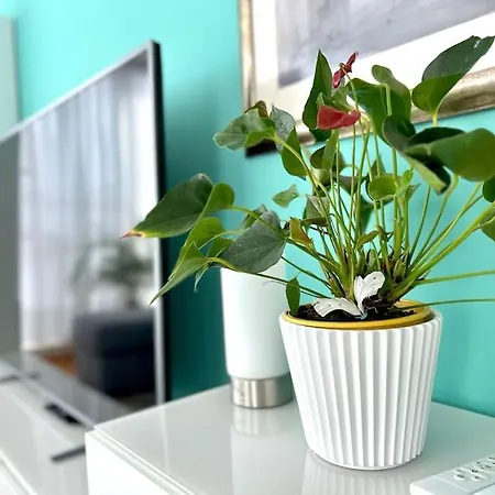 아파트 Apartamento Peatonal, Lujosamente Acogedor